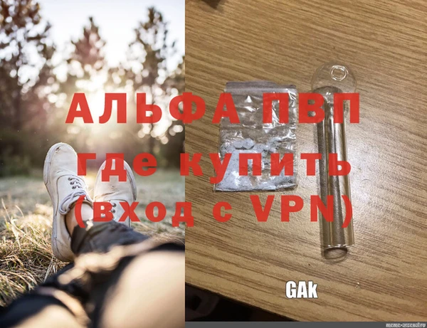 ГАЛЛЮЦИНОГЕННЫЕ ГРИБЫ Лиски