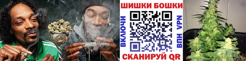 Конопля сатива  Щигры 